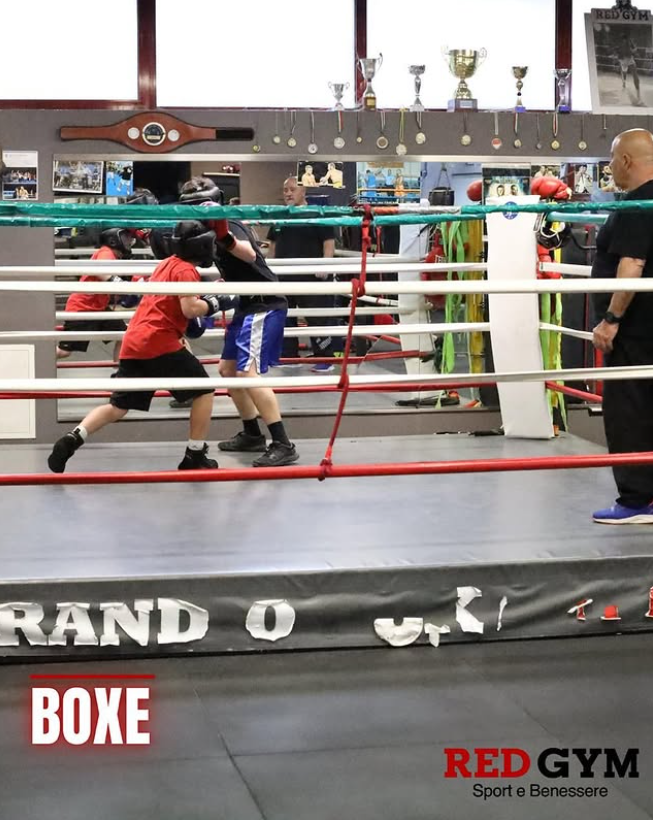 Boxe • Kickboxing • Prepugilistica