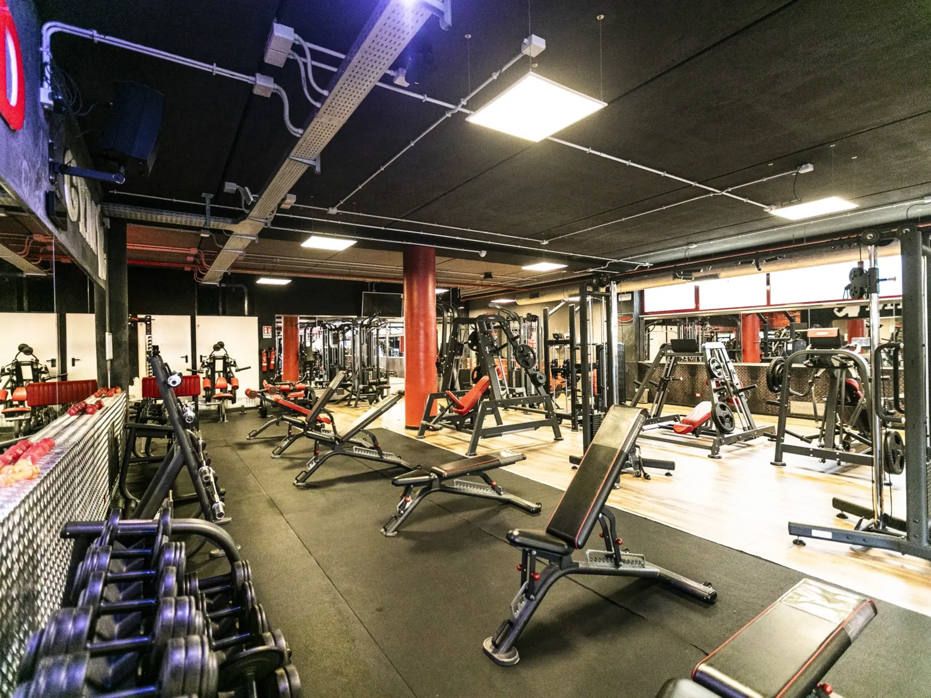 Energia. Disciplina. Risultati.